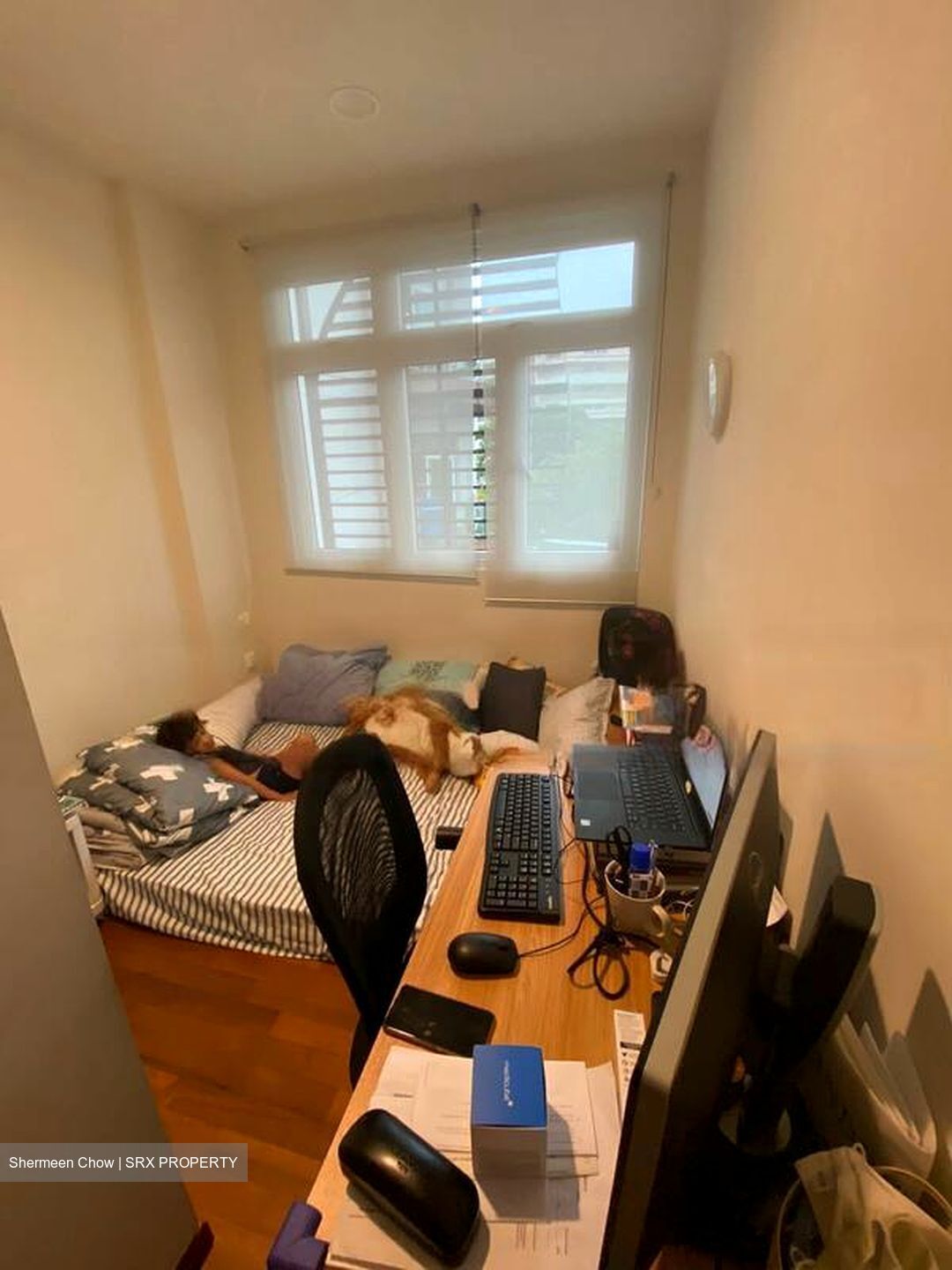 Cardiff Residence (D19), Condominium #578786641